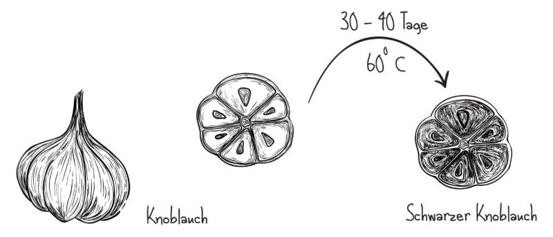 wie entsteht schwarzer knoblauch