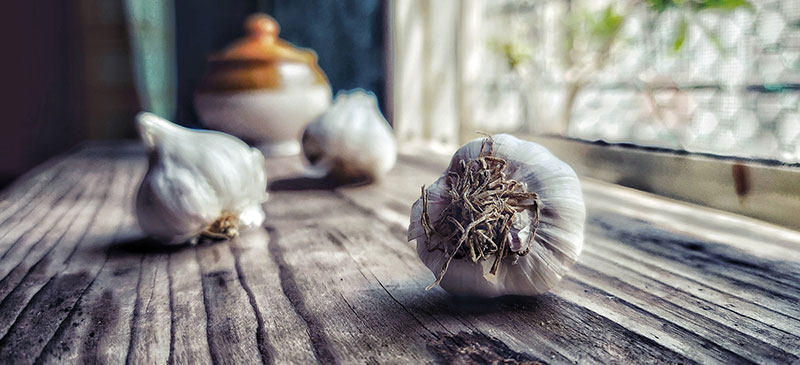 Knoblauch hat eine lange Tradition