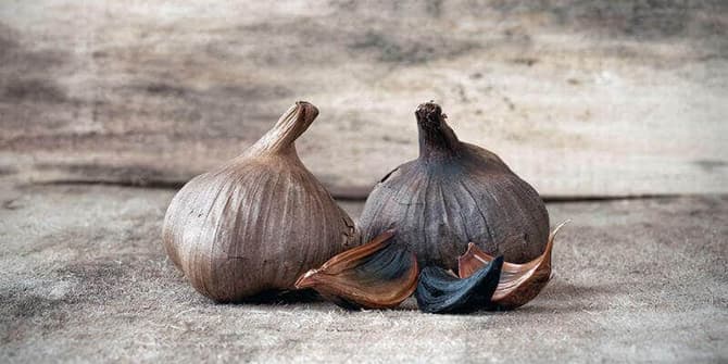 Schwarzer Knoblauch – alle wichtigen Informationen über das Superfood! Schwarzer Knoblauch